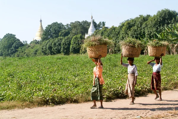 Woman walking with baskets on their heads at Inwa near Mandaley, — Stock Photo, Image