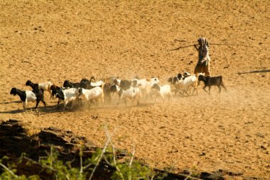 Herder Bagan Myanmar üzerinde arkeolojik keçi ile