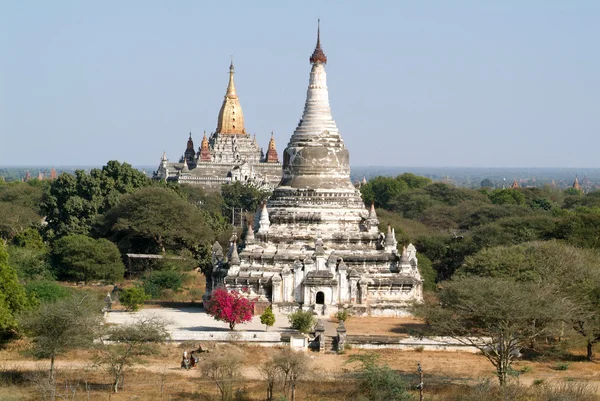 Tabaya a Ananda chrámy v archeologickém Bagan — Stock fotografie