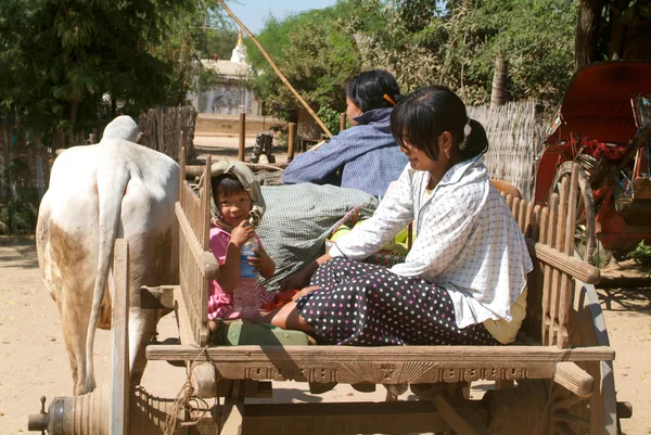 Familia en un carruaje tirado por vacas — Foto de Stock