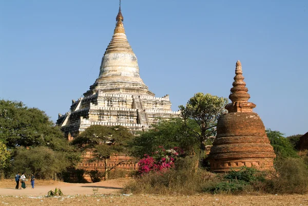 Templo de Shwesandaw no sítio arqueológico de Bagan — Fotografia de Stock