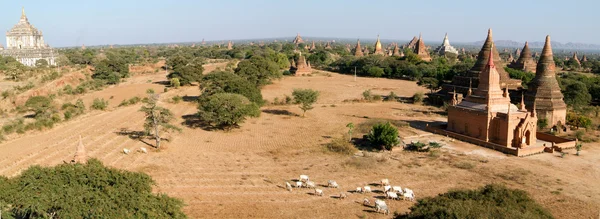 Vista panorámica del yacimiento arqueológico de Bagan — Foto de Stock