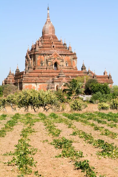 Templo de Htilominlo no sítio arqueológico de Bagan — Fotografia de Stock