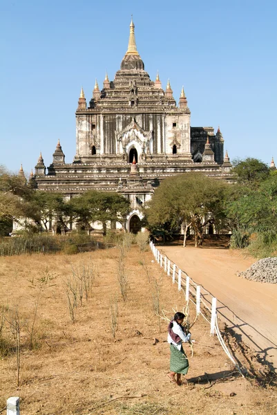 Thatbyinnyu tempel op de archeologische site van Bagan — Stockfoto