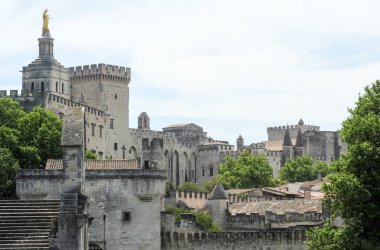 Avignon Fransa, Papa Sarayı
