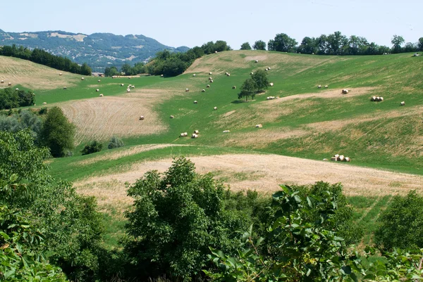 Valle de los Apeninos en Emilia Romaña — Foto de Stock