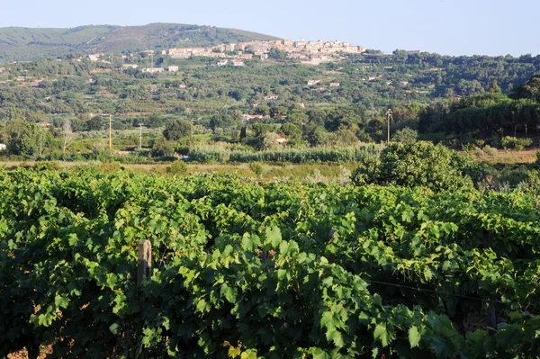 Populární vesnice Capoliveri na ostrově Elba, Toskánsko — Stock fotografie