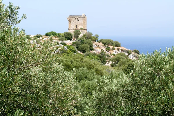 Turm am Scopello auf Sizilien — Stockfoto