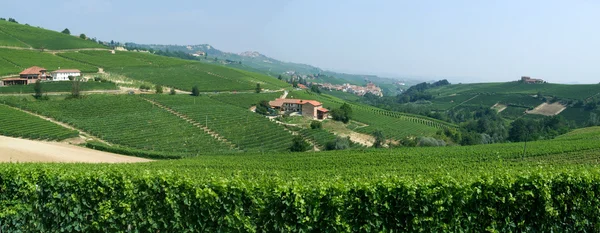 A szőlőültetvények, a falu a Barolo, Piemont-ban: — Stock Fotó