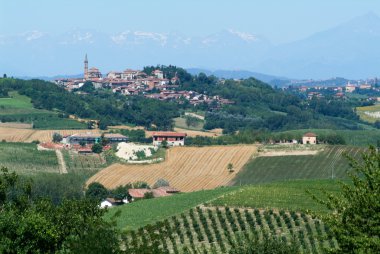 Piedmont üzerinde Monterrato bağlar