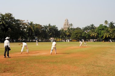 Mumbai central Park'ta kriket oynayan insanlar