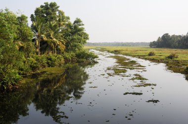 Önemsizden Kollam, nehir