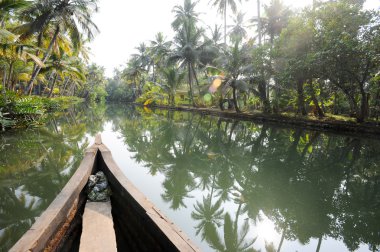 River of the backwaters at Kollam clipart
