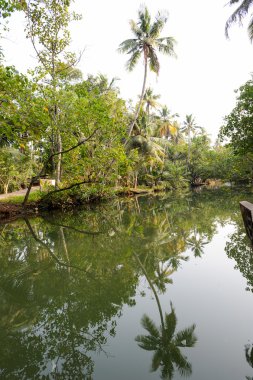 Önemsizden Kollam, nehir
