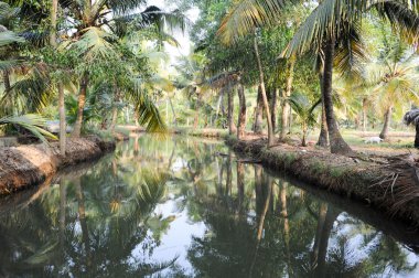 Önemsizden Kollam, nehir