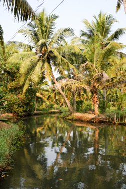 Önemsizden Kollam, nehir