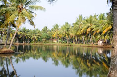 Önemsizden Kollam, nehir