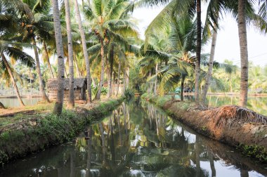 Önemsizden Kollam, nehir