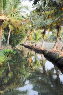 Önemsizden Kollam, nehir