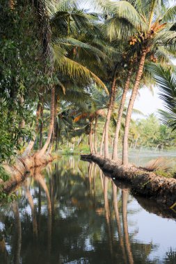 Önemsizden Kollam, nehir