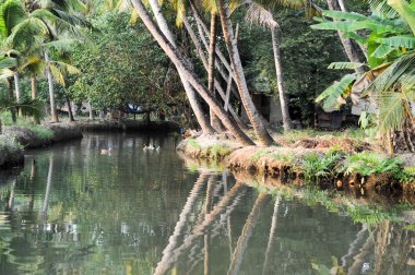 Önemsizden Kollam, nehir