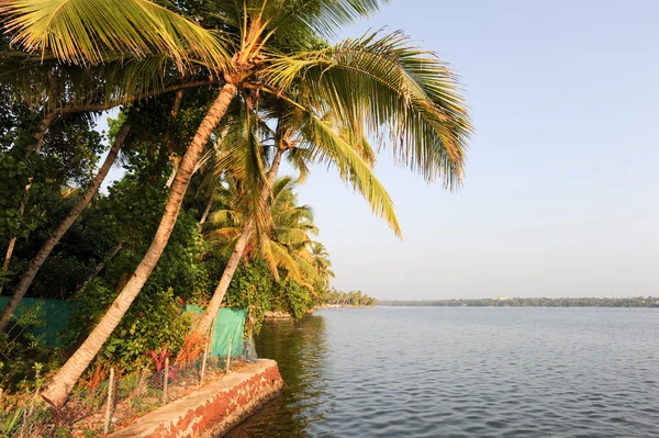 De kust van de backwaters op Kollam — Stockfoto