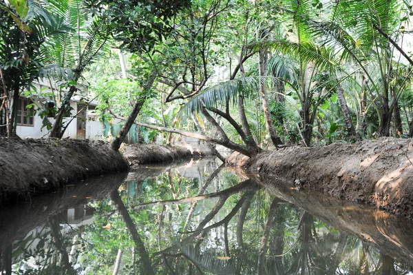 Fiume delle retrovie a Kollam — Foto Stock