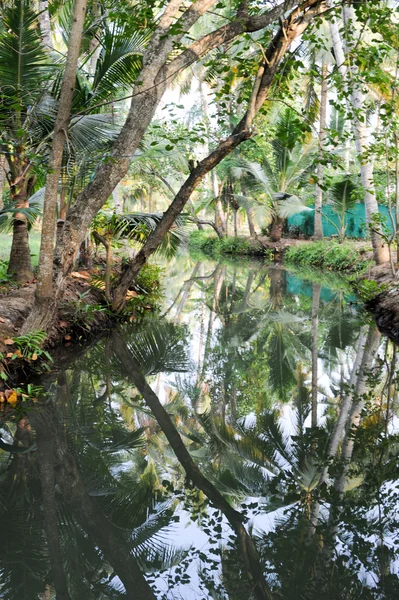 Ποταμός της backwaters σε Kollam — Φωτογραφία Αρχείου