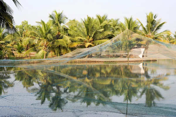 Ferme de crevettes sur les backwaters de Kollam — Photo