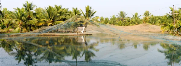 Ferme de crevettes sur les backwaters de Kollam — Photo