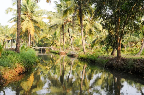 Rivier van de backwaters op Kollam — Stockfoto