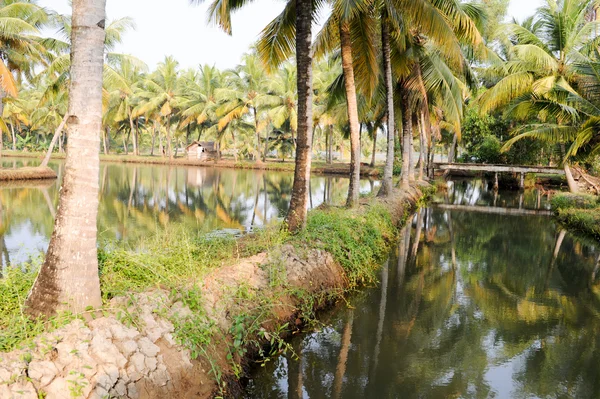 River of the backwaters at Kollam — Stock Photo, Image