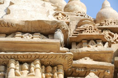 Ayrıntı Khajuraho Tapınağı'nda sanat