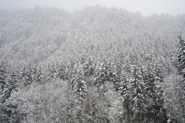 Engelberg karlı manzarada 