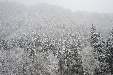 Engelberg karlı manzarada 