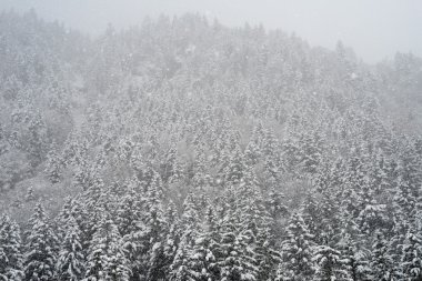 Engelberg karlı manzarada 