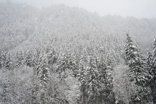 Снежный пейзаж Энгельберга — стоковое фото