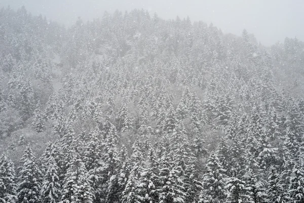 在英格堡的雪景 — 图库照片
