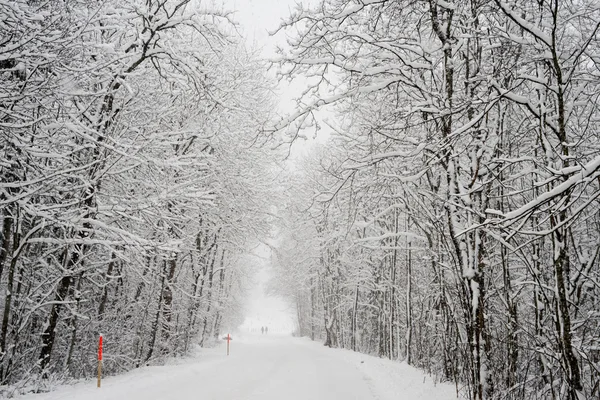 Paesaggio innevato in Engelberg — Foto Stock