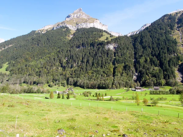 Landscape at Engelberg — Stock Photo, Image