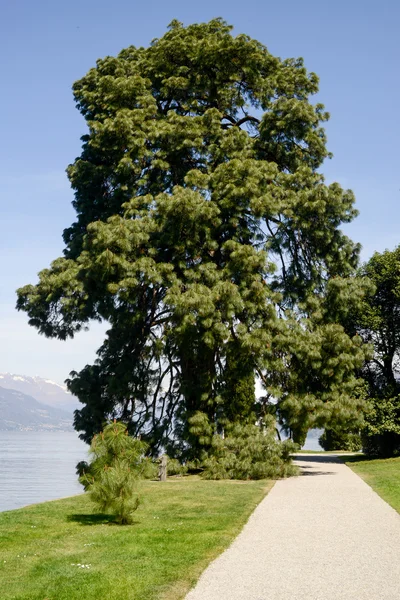 Jardines de Villa Melzi en el Lago de Como — Foto de Stock