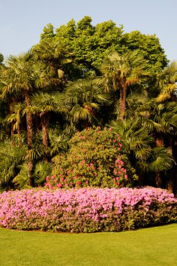 Ciani Botanik Bahçe, Lugano