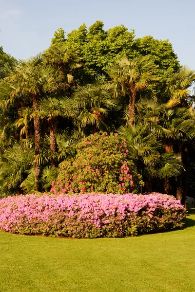 Den botaniska trädgården Ciani på Lugano — Stockfoto