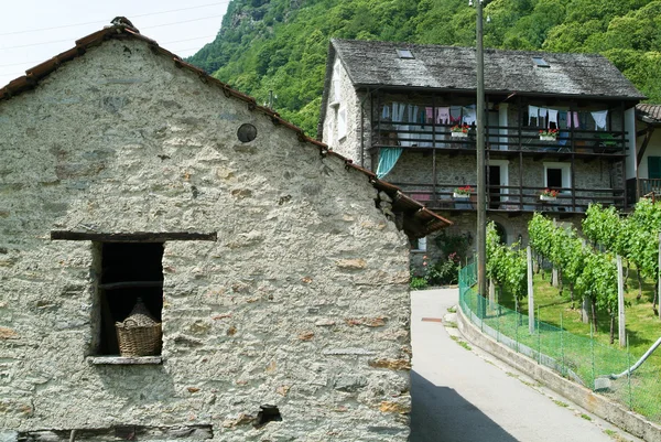 Vecchie case rurali nel villaggio di Lottigna — Foto Stock