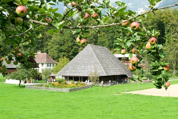 Old family house and farm in Ballenberg — Stock Photo, Image