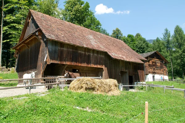 Vecchia casa di famiglia e fattoria a Ballenberg — Foto Stock