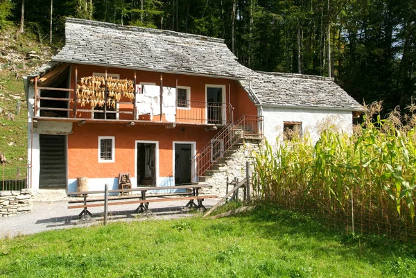 Vecchia casa di famiglia a Ballenberg, un museo svizzero all'aperto — Foto Stock