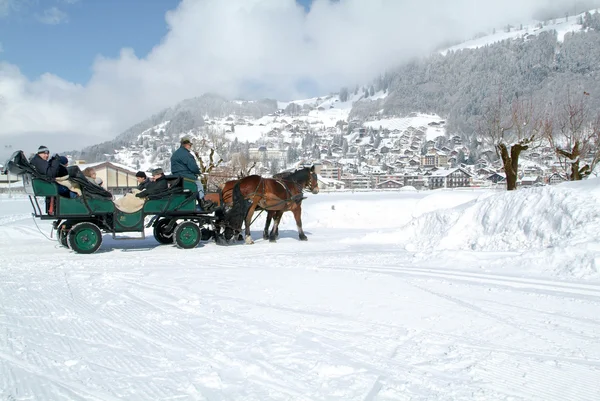 Tour on a horse-drawn carriage — ストック写真