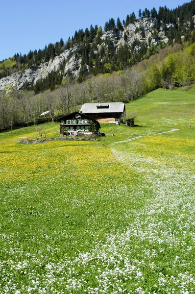 Rural landscape at Engelberg — Stockfoto