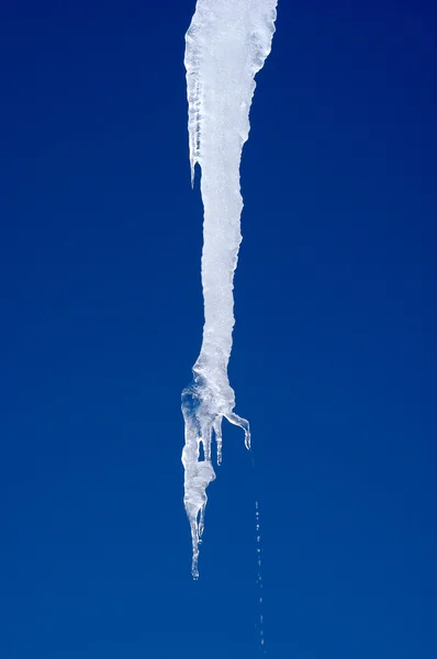 Sfondo invernale con ghiacciolo — Foto Stock